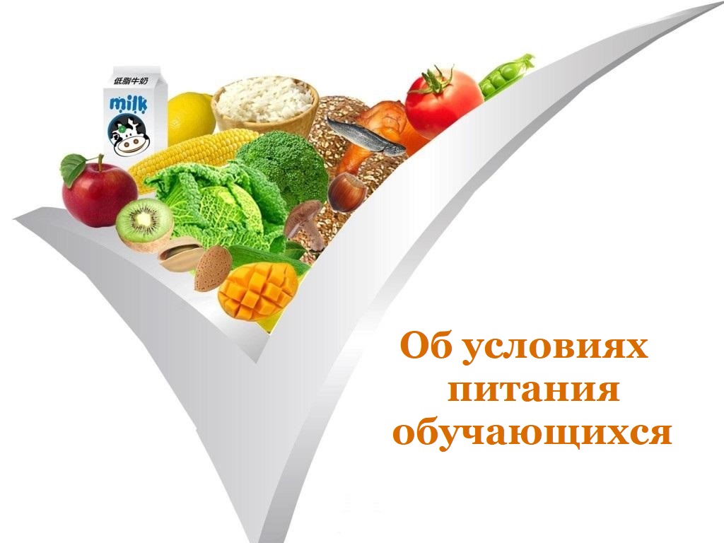 Информация об условиях питания обучающихся.